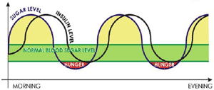 Carbohydrate-based breakfast - Blood sugar and insulin response chart based on known physiological effect.