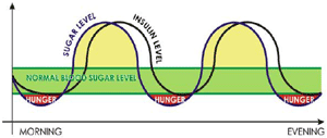 Healthy breakfast - Blood sugar and insulin response chart based on known physiological effect.